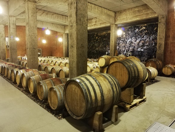 Tement Cellar